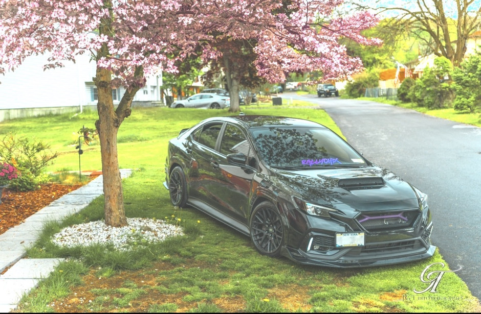 Stephanie R's 2023 WRX Premium