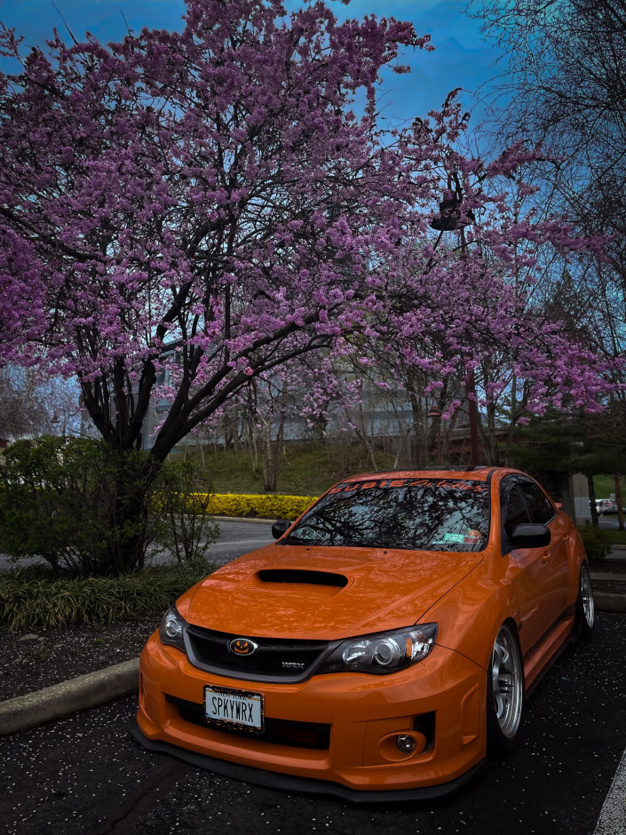 Olivia Dingee's 2013 Impreza WRX Limited 