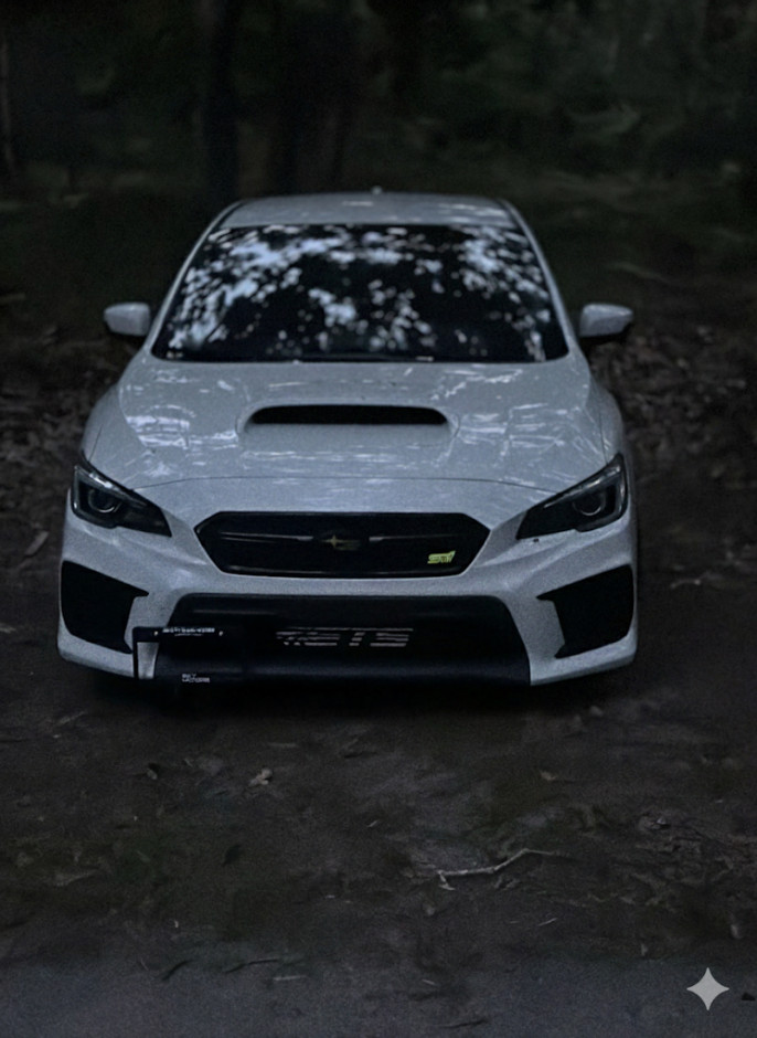 Cesar  M's 2019 WRX STI