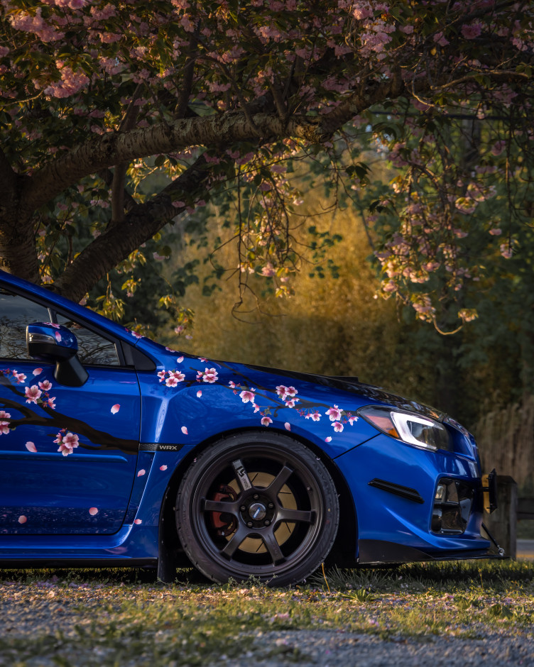 Erik Olson's 2017 Impreza WRX Limited