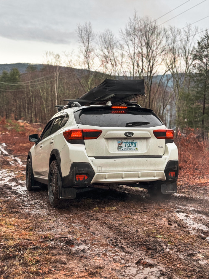 Kaden  P's 2019 Crosstrek Limited 