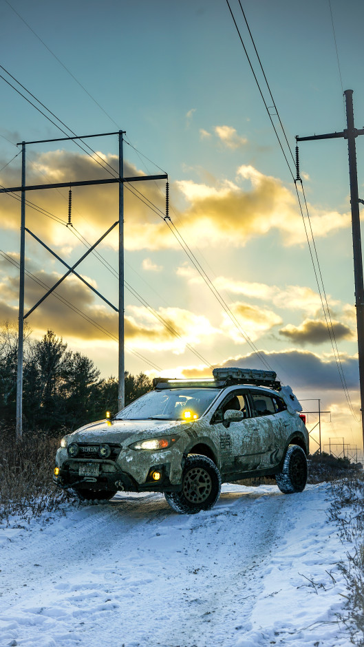 Brendan maloney's 2019 Crosstrek Premium 