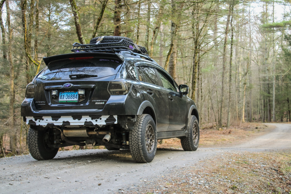 Cat Tracey's 2016 Crosstrek Limited