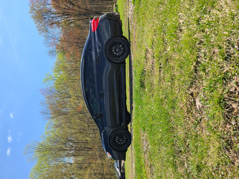 Kimberly R's 2017 Impreza WRX Premium 
