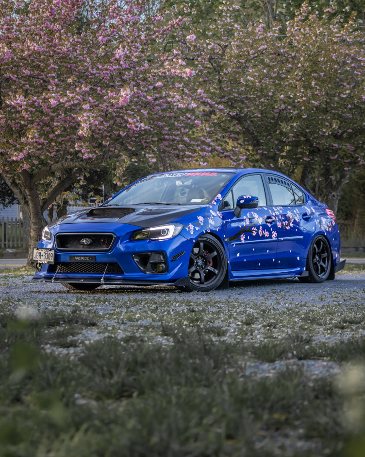 Erik Olson's 2017 Impreza WRX Limited