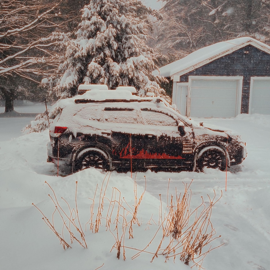 Alexander  Cramm 's 2019 Forester Premium 