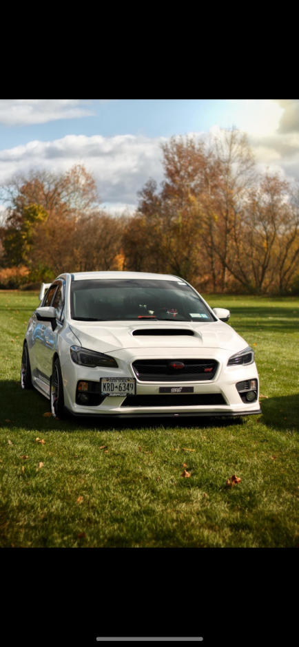 Andrew D's 2017 Impreza WRX STI Base