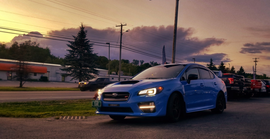 Shawna C's 2016 Impreza WRX STI Series Hyper Blue