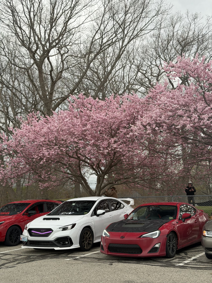 Trevor Foss's 2013 Other FR-S