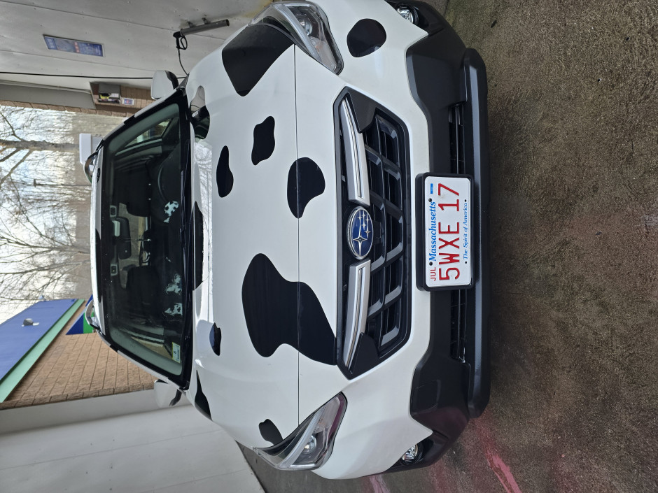Mary  M's 2023 Crosstrek Limited 