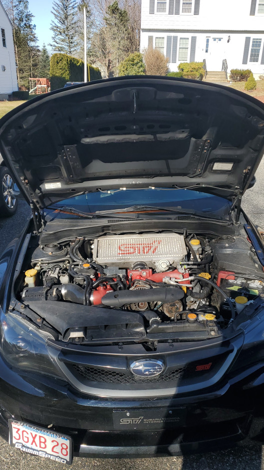 Tyler L's 2011 Impreza WRX STI Limited