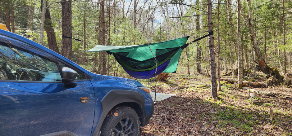 Miccal M's 2024 Crosstrek Wilderness 