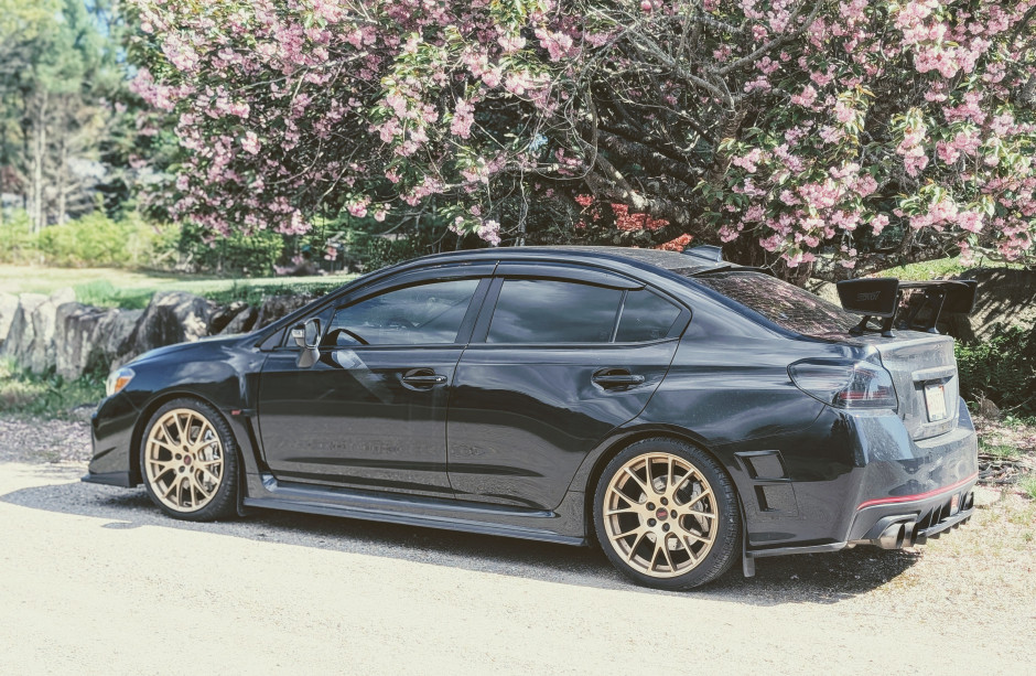 Ed Wilson's 2022 Impreza WRX Premium B