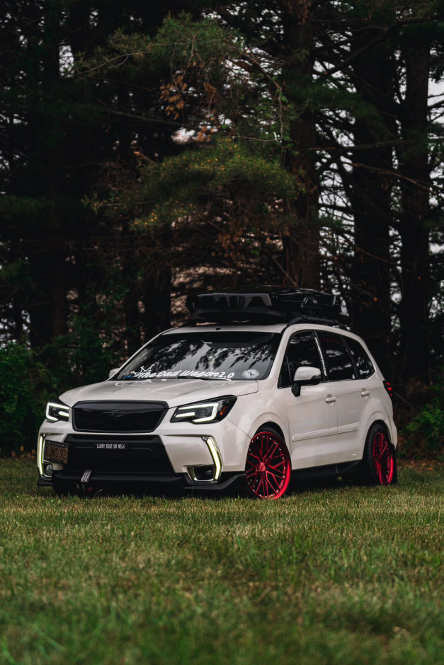 Brandon Pettit's 2014 Forester 2.0 xt touring 