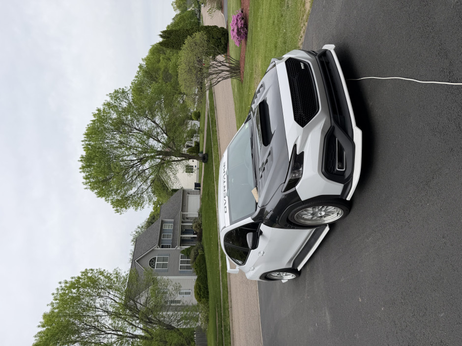 Emma Albright's 2024 WRX Premium