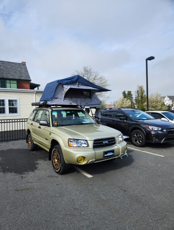 Nicholas L's 2004 Forester 2.5XS