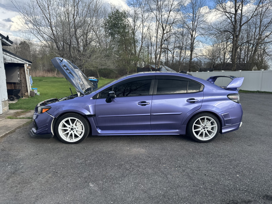 Alicia P's 2021 WRX Limited
