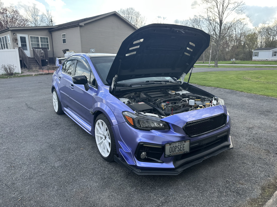 Alicia P's 2021 WRX Limited