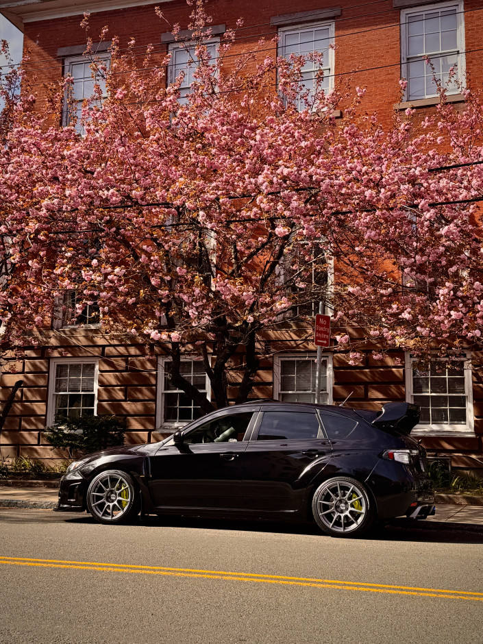 Joshua Morales's 2013 Impreza WRX Limited