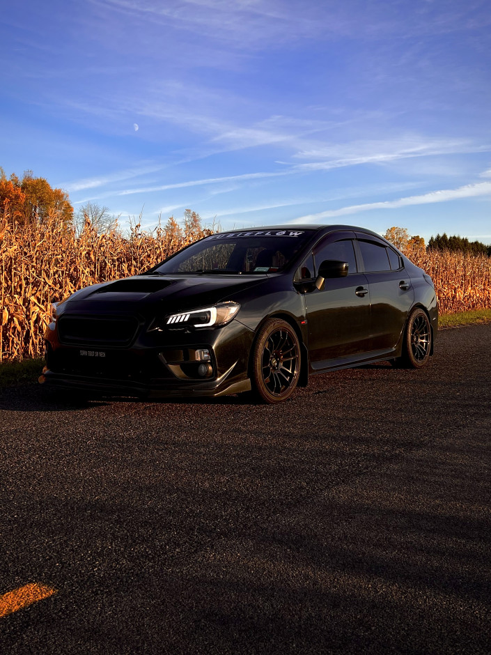 Abbie H's 2017 WRX Limited